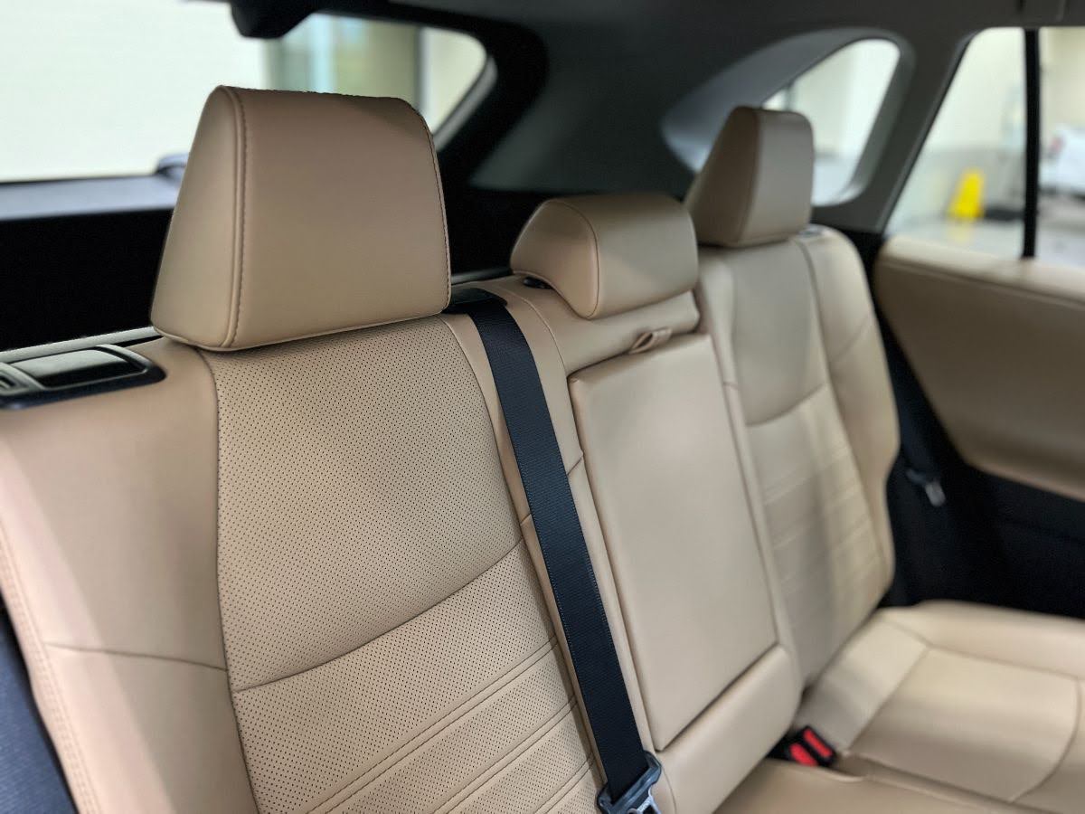 2022-rav4-hybrid-limited-beige-back-seats